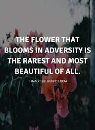 The flower that blooms in adversity is the most beautiful of all. The Flower That Blooms In Adversity Is The Rarest And Most Beautiful Of All Quotes Quotes