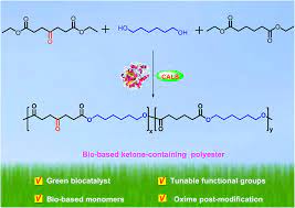 Biomagnification, also known as bioamplification or biological magnification, is any concentration of a toxin, such as pesticides, in the tissues of tolerant organisms at successively higher levels in a food chain. Lipase Catalyzed Synthesis And Post Polymerization Modification Of New Fully Bio Based Poly Hexamethylene G Ketopimelate And Poly Hexamethylene G Ketopimelate Co Hexamethylene Adipate Copolyesters