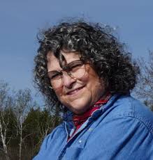 2024 Northern Michigan Election Guide