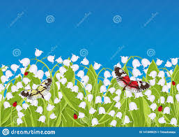 Un petit brin de muguet m a dit midilibre fr. Frontiere Sans Couture Avec Le Muguet De Fleurs De Ressort Cadre Floral Banniere Illustration De Vecteur Jacinthe Des Bois Bla Illustration De Vecteur Illustration Du Coccinelle Sensible 141849625
