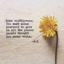~thomas wentworth higginson, april days, 1861. Wildflower Quotes And Sayings Quotesgram