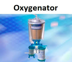 Browse the use examples 'oxygenator' in the great english corpus. Oxygenator Market Upcoming Demands Growth Analysis 2019 2024 Business Industry Reports