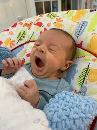 Max Hauck Curtains and Blinds