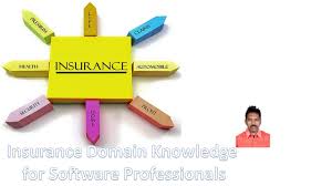 Insurance Domain Knowledge Software Testing