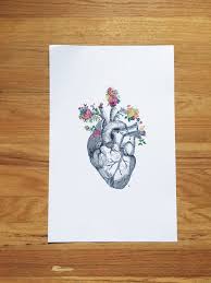 Anatomical Heart + Flowers