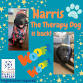 Therapy Dog Program with Harris event image