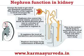 Pin On Blogs Karmaayurveda