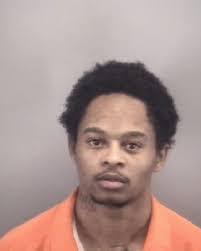 Suspect Arrested Following Series of Vehicle Break-Ins at Water Country USA  On July 12, 2025, Sheriff's Office deputies responded to Water Country USA 