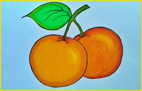 Kumpulan gambar buah apel yang segar via www.worldofghibli.id. 100 Sketsa Buah Buahan Terbaik Paling Mudah Digambar Sindunesia