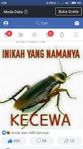 Maybe you would like to learn more about one of these? 27 Trend Gambar Lucu Kecoa Kecewa Terkini Meme
