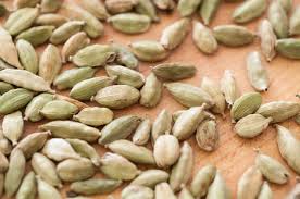 Most seed banks are publicly funded and seeds are usually available for research that benefits the public. Center For Food Safety Issues Seeds