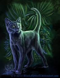 Korat By Blackmystica On Deviantart Cats Cat Artwork Cat Lover Quote