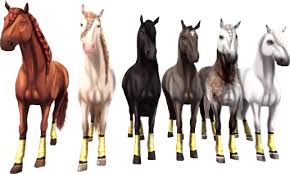 A silhouetted image of the breed is released on sso's social media accounts. Unsere Clubpferde Golden Wings Star Stable Online