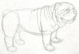 How to draw a dog step by step easy. How To Draw A Realistic Bulldog Step By Step Drawing Guide By Finalprodigy Dragoart Com