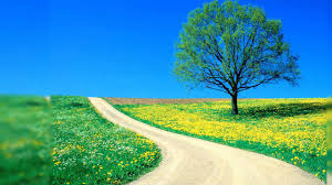 Download beautiful vivid and colorful pics from our gallery and experience a relaxing feeling every time you look at your screen. Beautiful Nature Images Free To Download