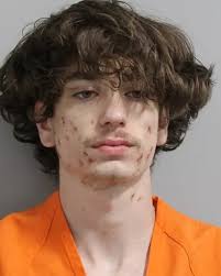 20-year-old CODY WEAVER from Polk County was booked