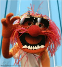 Google Image Result For Http 2 Bp Blogspot Com 38nijptcvig Thxk3jygfvi Aaaaaaaaaew Hxx6lmmj03w S1600 Animal Muppet 1 Muppets Animal Muppet Im Losing My Mind