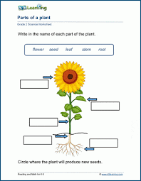 Weather and climate word scramble worksheets. Plant Anatomy Worksheets K5 Learning