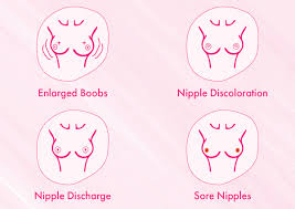 Breast development is caused by hormones released by the ovaries at puberty. How To Get To Know Your Boobs Better And Why It S So Important Blog Huda Beauty