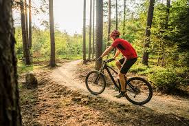 Anyone who has ventured out on a mountain bike has been down a hill. Biking The Berkshires A Local S Perspective Berkshires