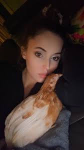 Need advice:ochicks from TSC , now 3weeks old, just starting dying, a few  every day. What's wrong?