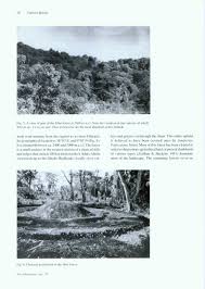 Image result for Vepris macedoi