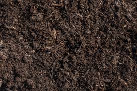 Recently we've had a few growers ask us why and how mushrooms could end up in their grow. Mushroom Compost Uk Wide Delivery Buy Online Today Corker Co Uk