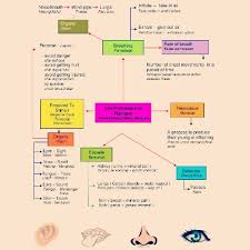 Modul Sains Tingkatan 5