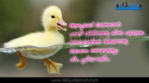 The greatest nelson mandela quotes in malayalam july 4, 2021. Beautiful Malayalam Love Romantic Quotes With Images Swimming Webbed Feet Duck 1400x788 Wallpaper Teahub Io