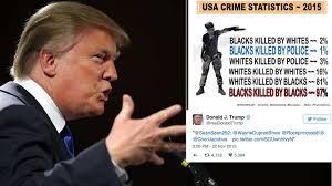 Image result for trump racist image