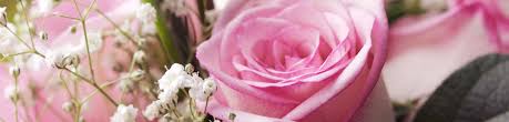We did not find results for: Charleston Sc Florists
