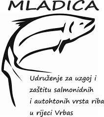 Mladica (hucho hucho) mladica je postala u nas dosta rijetka riba pa je nije lagano naći, a niti uhvatiti. Facebook
