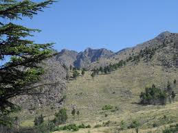 The number of buses from buenos aires to sierra de la ventana can differ depending on the day of the week. Cerro Ventana Wikipedia La Enciclopedia Libre