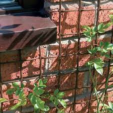 Climbers in general, and clematis especially, can be a pride of every garden. Climbing Plant Support Mesh Clematis Bean Trellis