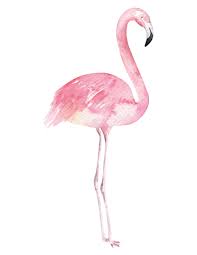 Kenedy has proposals from flamengo and la liga clubs. Dekodino Wandtattoo Aquarell Flamingo Im Modischen Design Tiere Pink Galeria Karstadt Kaufhof