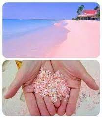 Pink Sand Beaches Bahamas Pink Sand Beach Pink Beach Pink Sand Beach Bahamas