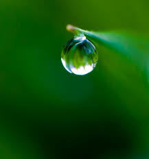 Check spelling or type a new query. Depth Of Field Photography Aperture Depth Of Field Depth Of Field