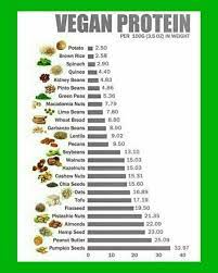 Pin On Vegan