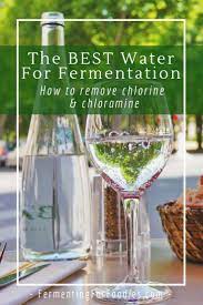 How To Filter Water For Fermentation Fermentation Healthy Microbiome Fermenting