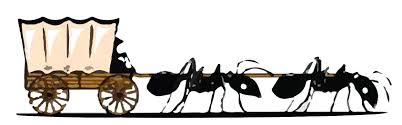 We provide fumigation and pest control service for homes, hotels, hostels, warehouses etc at an affordable rate. Pest Control In Southeast Portland Or Pioneer Pest Management