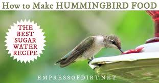 Plus, get tips for attracting hummingbirds to your garden. How To Make Hummingbird Food Sugar Water Recipe