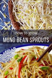 Pin On Asian Vegetarian Vegan Recipes