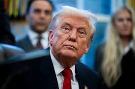 David Bowie and Kate Bush tribute bands perform