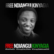 David Babu 🇰🇪 🇺🇸 (@IamDavidBabu)