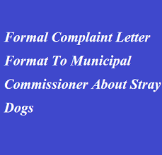 Write a letter to the police commissioner of the district complaining against this practice. Formal Complaint Letter Format To Municipal Commissioner About Stray Dogs Letter Formats And Sample Letters