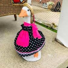 A look behind the trend of those goose lawn ornaments and why they're so  popular