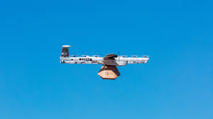 Why are buffalo wings called that? Alphabet S Wing Delivery Drones Get Faa Approval Quartz