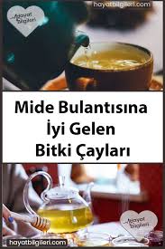 Mide Bulantisina Iyi Gelen Bitki Caylari Bitki Beslenme Saglik Ipuclari