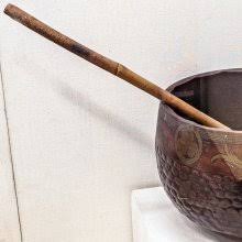 Image result for Hua gabonii