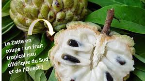 Fruits En Z Et Legumes En Z La Liste Complete En Francais A A